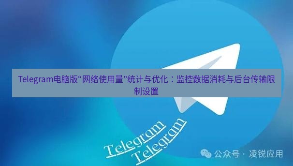 Telegram电脑版 Telegram电脑版“网络使用量”统计与优化：监控数据消耗与后台传输限制设置