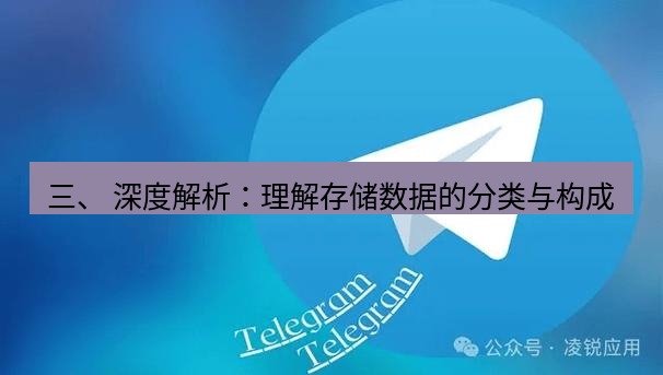 Telegram电脑版 三、 深度解析:理解存储数据的分类与构成