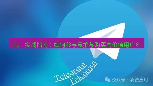 Telegram电脑版 三、 实战指南：如何参与竞拍与购买高价值用户名