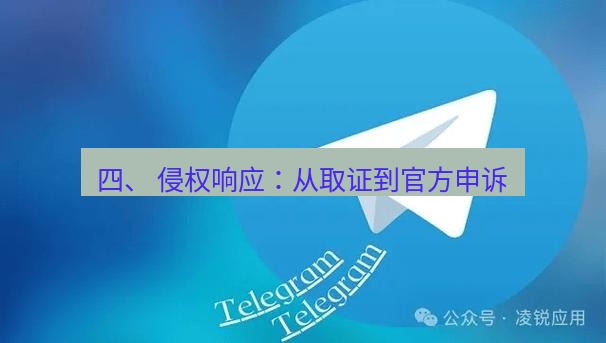 Telegram电脑版 四、 侵权响应：从取证到官方申诉