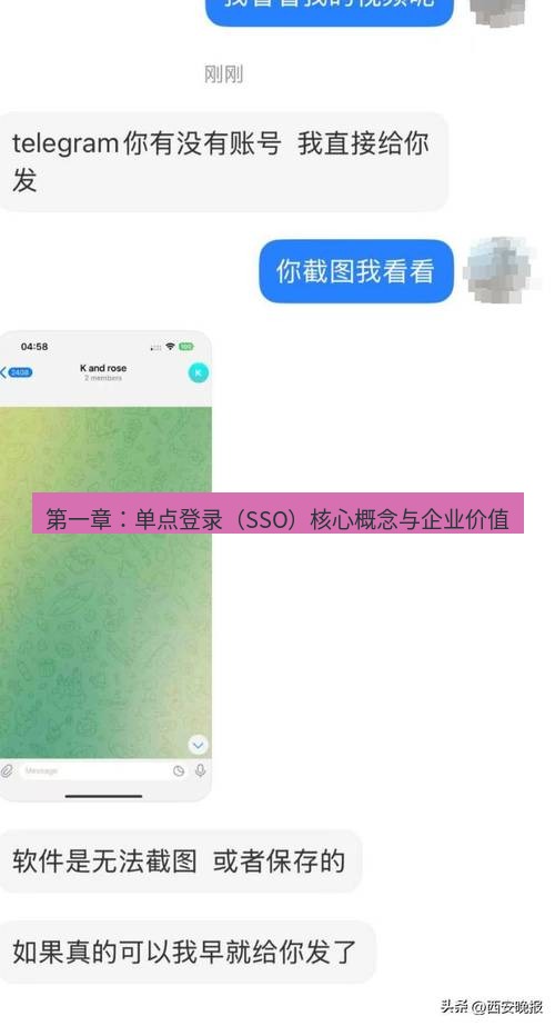 Telegram电脑版 第一章:单点登录(SSO)核心概念与企业价值