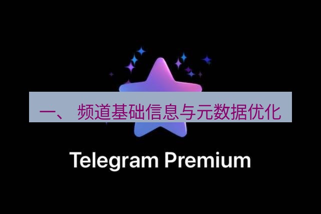 Telegram电脑版 一、 频道基础信息与元数据优化