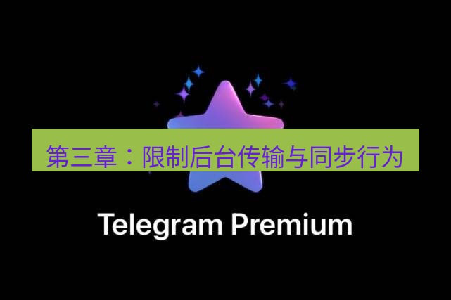Telegram电脑版 第三章：限制后台传输与同步行为
