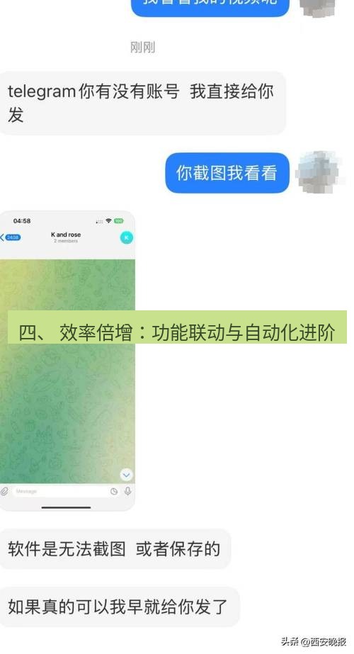 Telegram电脑版 四、 效率倍增:功能联动与自动化进阶
