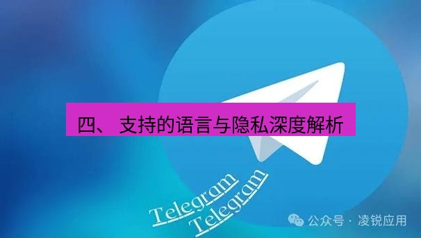 Telegram电脑版 四、 支持的语言与隐私深度解析