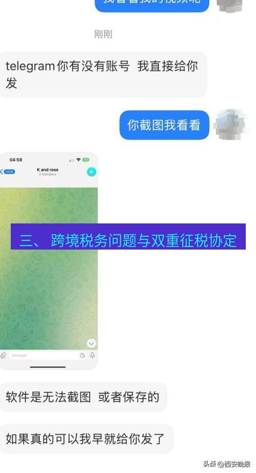 Telegram电脑版 三、 跨境税务问题与双重征税协定